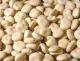 Termas - graines de lupin - pot de 30g net